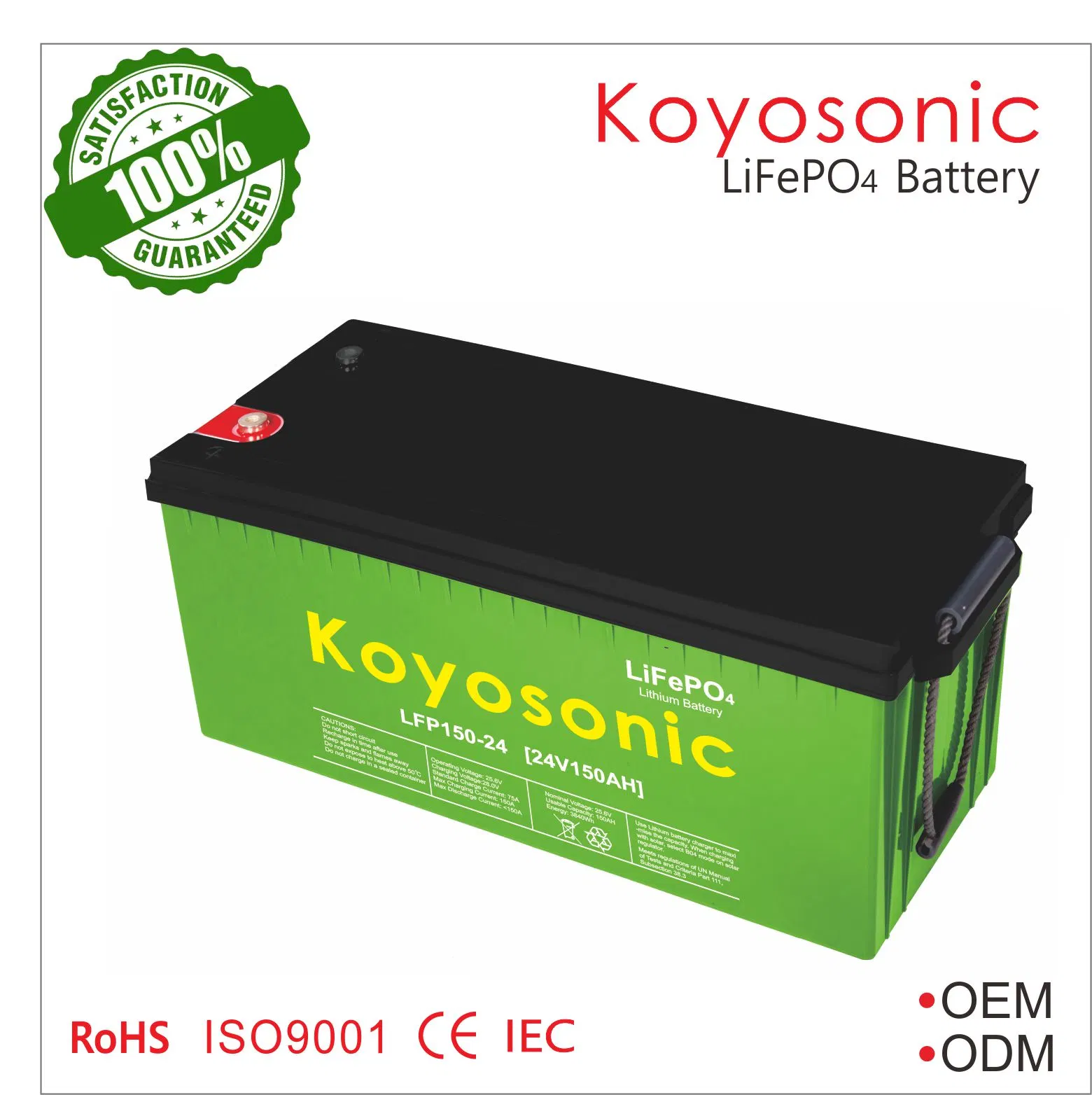 UN38,3 24V 120ah Lithium-Batterie 1c LiFePO4 Solarbatterien Pack Für Speicher-/Marine- und EV-Anwendungen