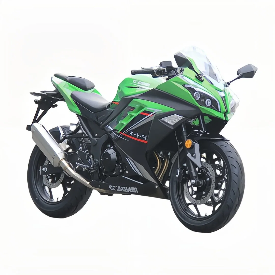 محرك شارع موتور شارع Daniu 250cc مبرد بالزيت