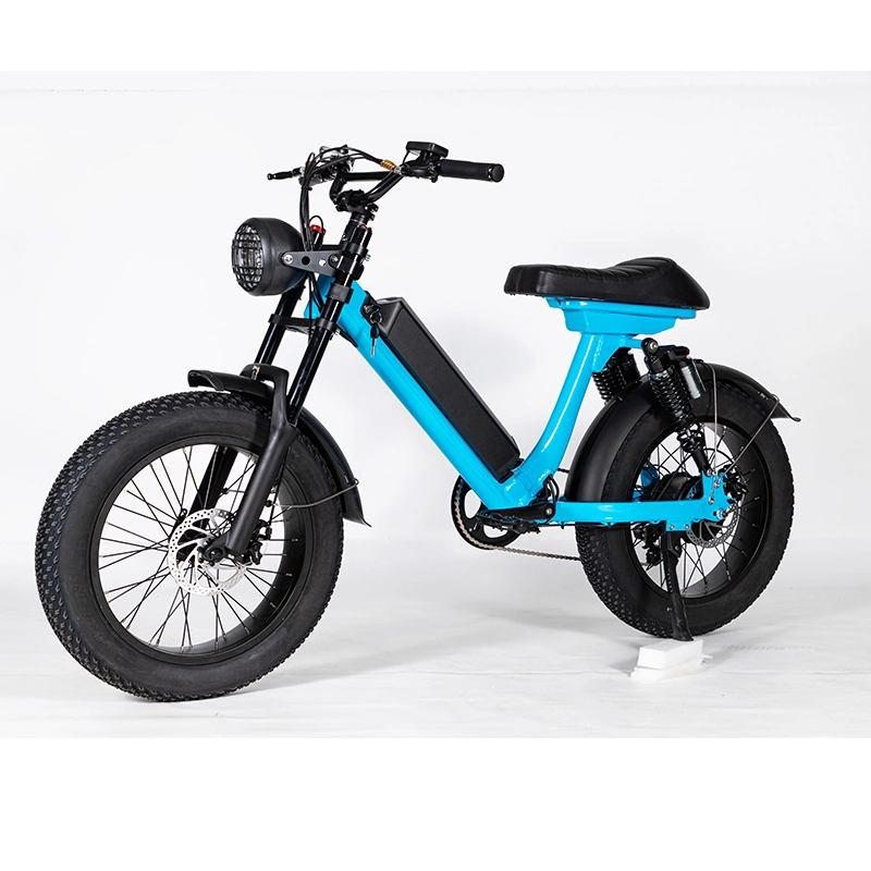 China Factory Supply Directly Bulk Goods Aluminum Alloy Frame Electric Bycycle 500W Motorbike Disc Brake Electric Mountain Bike Dirt Bike