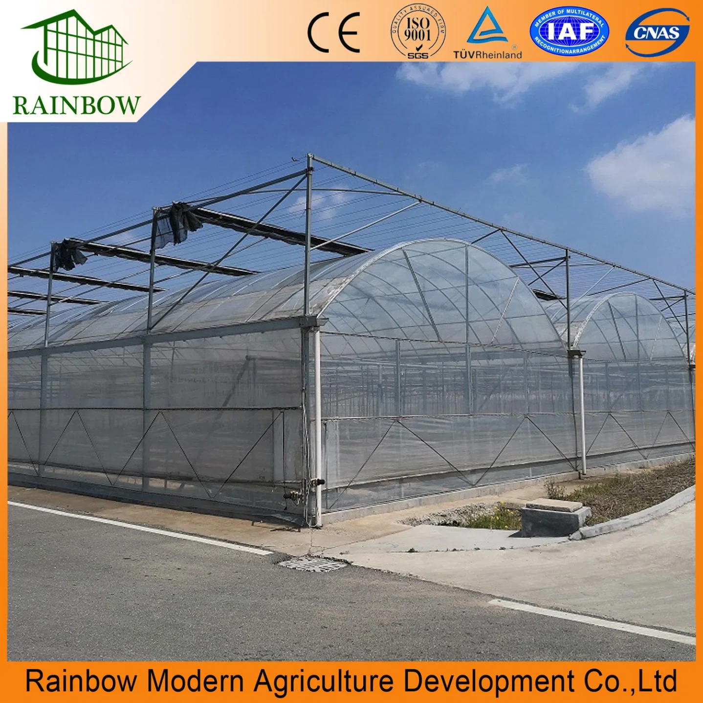 Commercial Greenhouse Poly Film Multi-Span Film Greenhouse for Planting Tomato Cucumber Lettuce