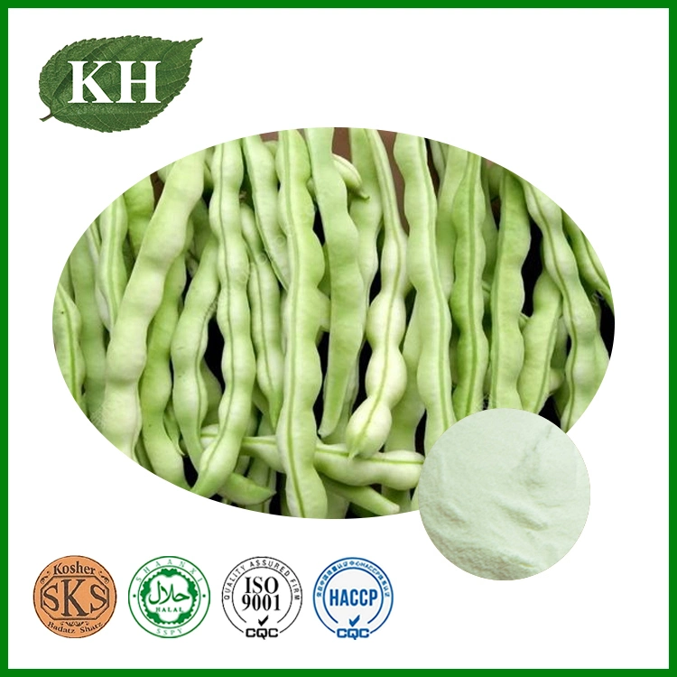 Loss Weight White Kidney Bean Extract 1%, 2% Phaseolin