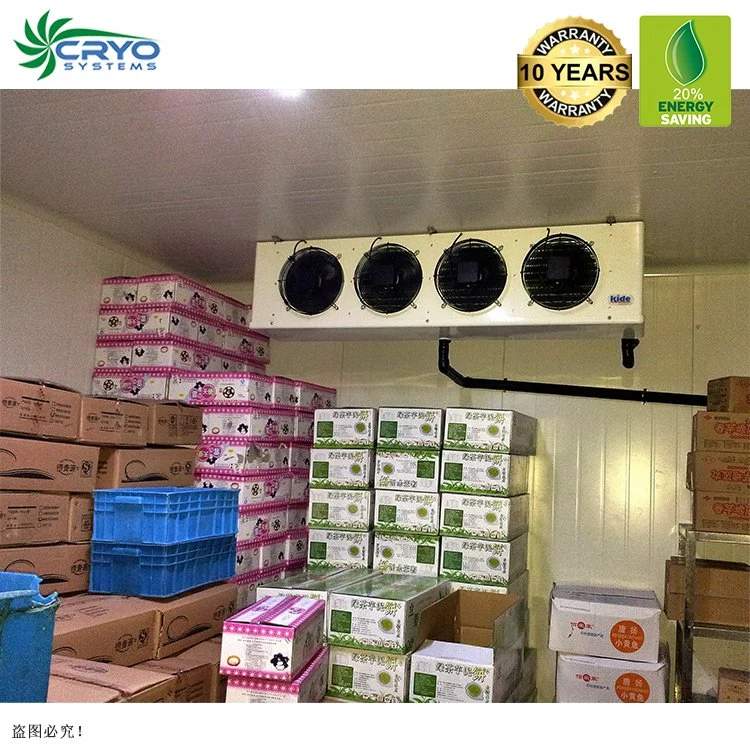 Beef Cow Mexican Hass Avocado Warehouse Coolers and Freezers Buy Walk in Cooler Cold Storage Head Office