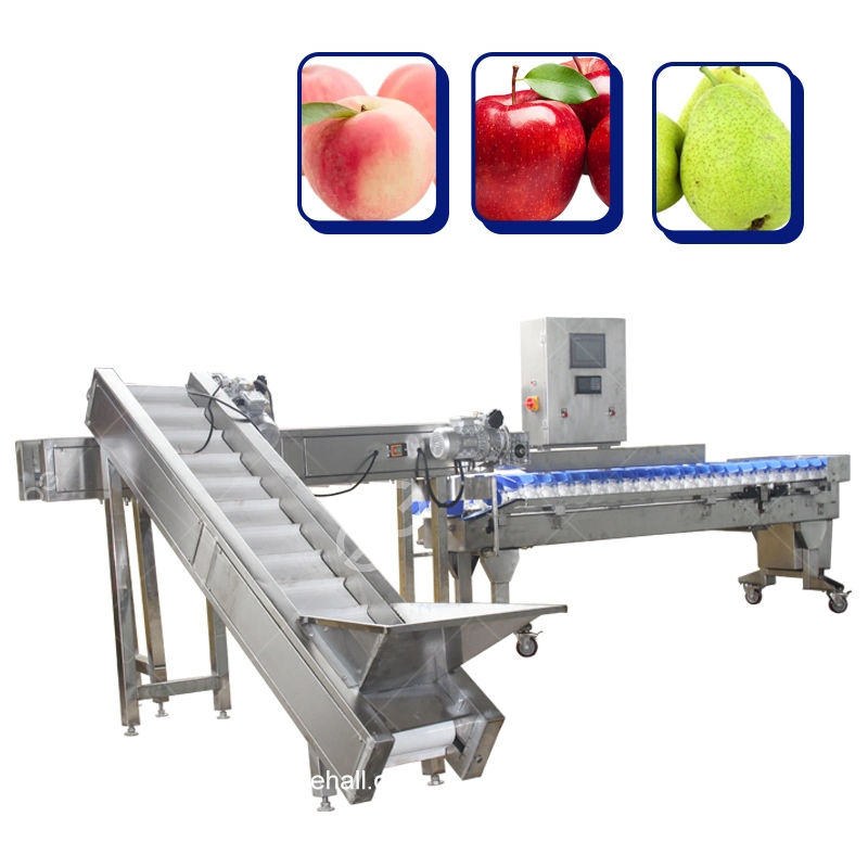 Automatic Weight Sorting Machine Fruit Weight Sorting Machine