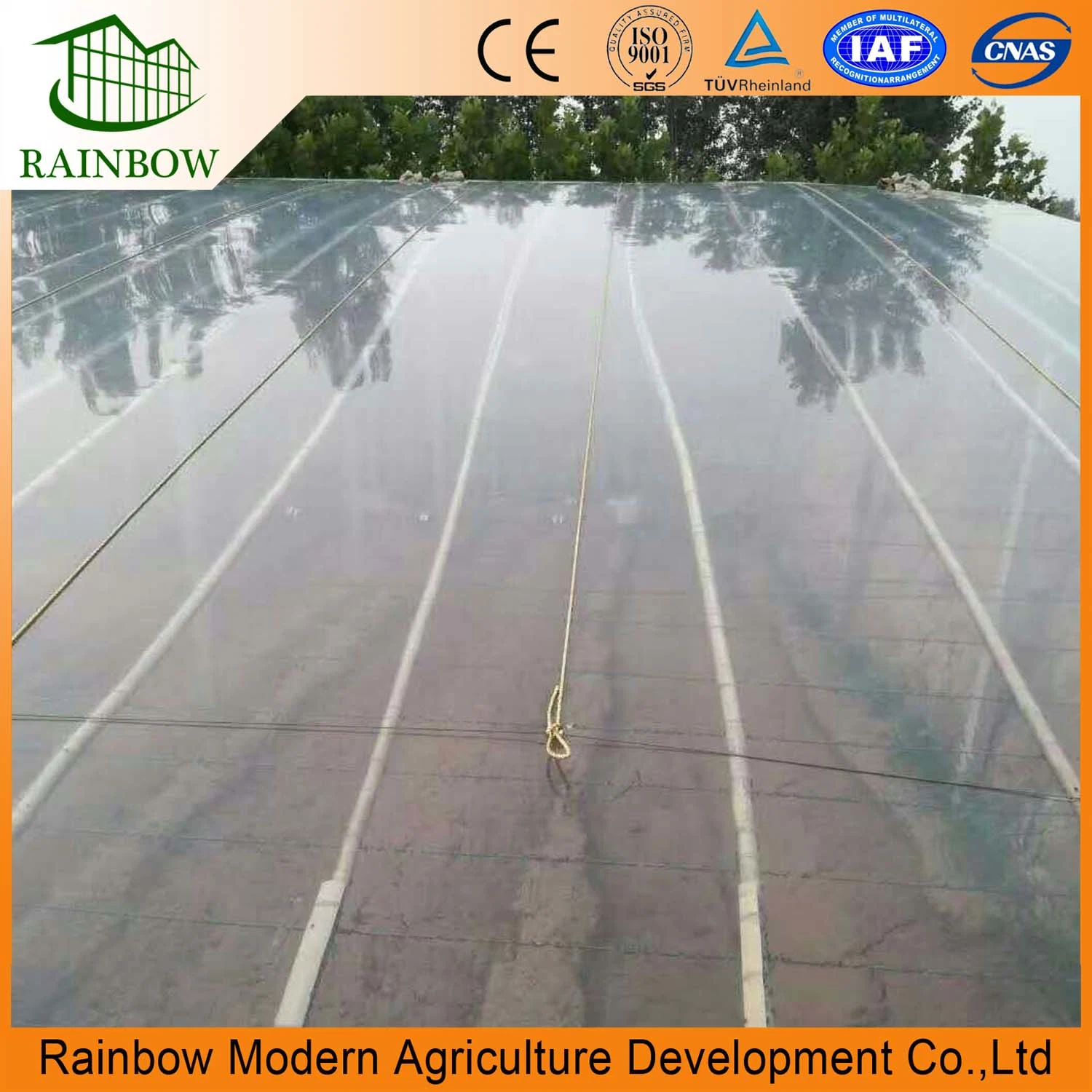 Plastic Film for Greenhouse Green House Plastic Agricultural Film