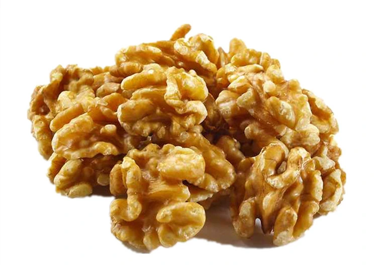 Natural Organic Walnuts for Wholesale/Supplier Walnut Kernel in Bulk