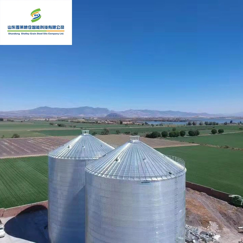 Acero galvanizado corrugado Asamblea Popular de fondo plano de personalizables de grano Silos