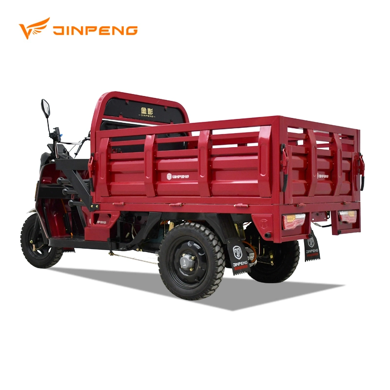 Jinpeng Low Speed Big Powerful 1000W Electric Tricycle Electrique for Cargo