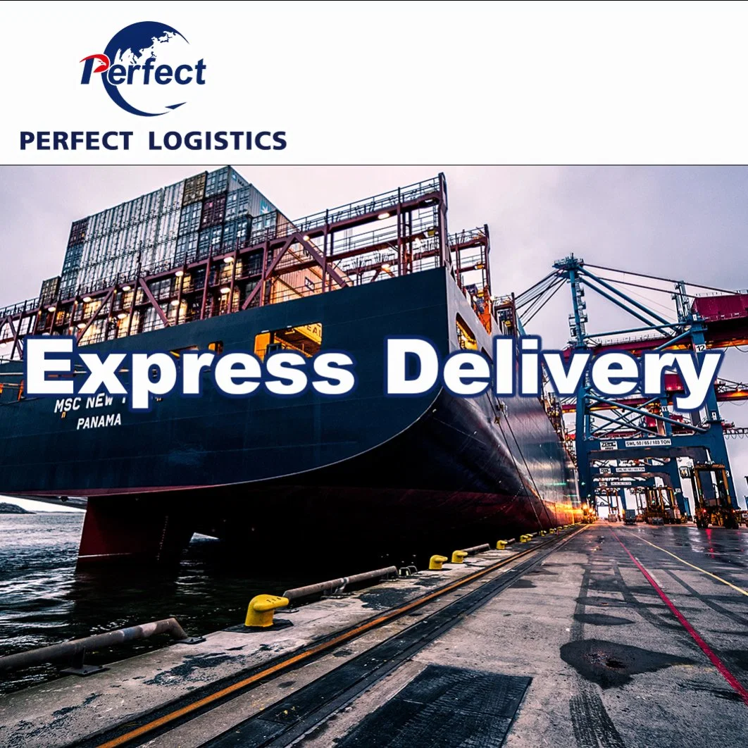 Günstigste Amazon Versandservice DDU DDP nach USA/Europa Air/Sea/Express Cargo Spediteur China