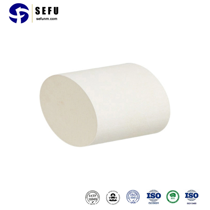 Sefu Sic Keramik Schaumfilter China Auto Motor Konverter Hersteller Universal Catalytic Converter Preise Drei-Wege Catalytic Catalyst Carrier