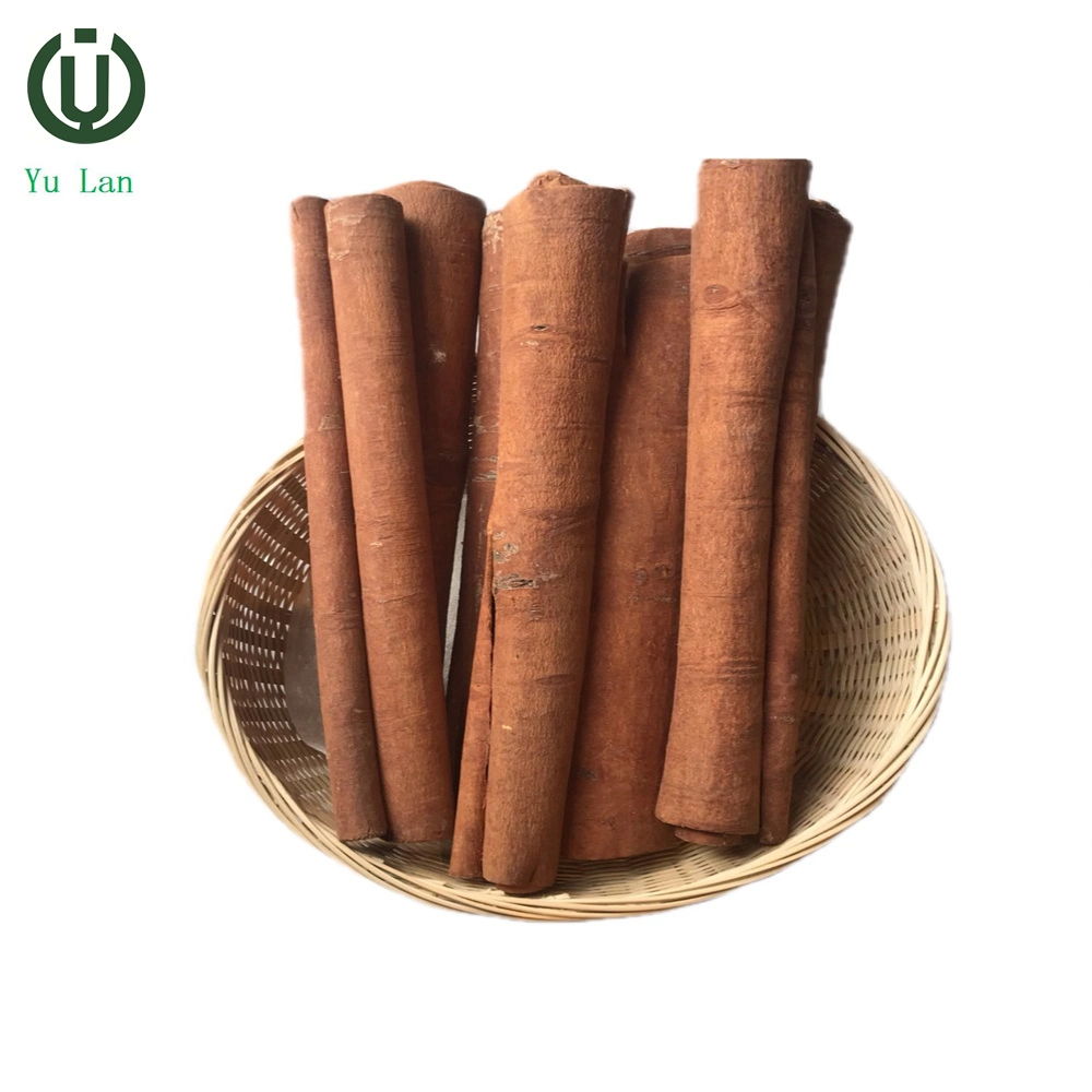 Fresh Crop 100% Pure Natural Cinnamon Bark Hot Sale Spices