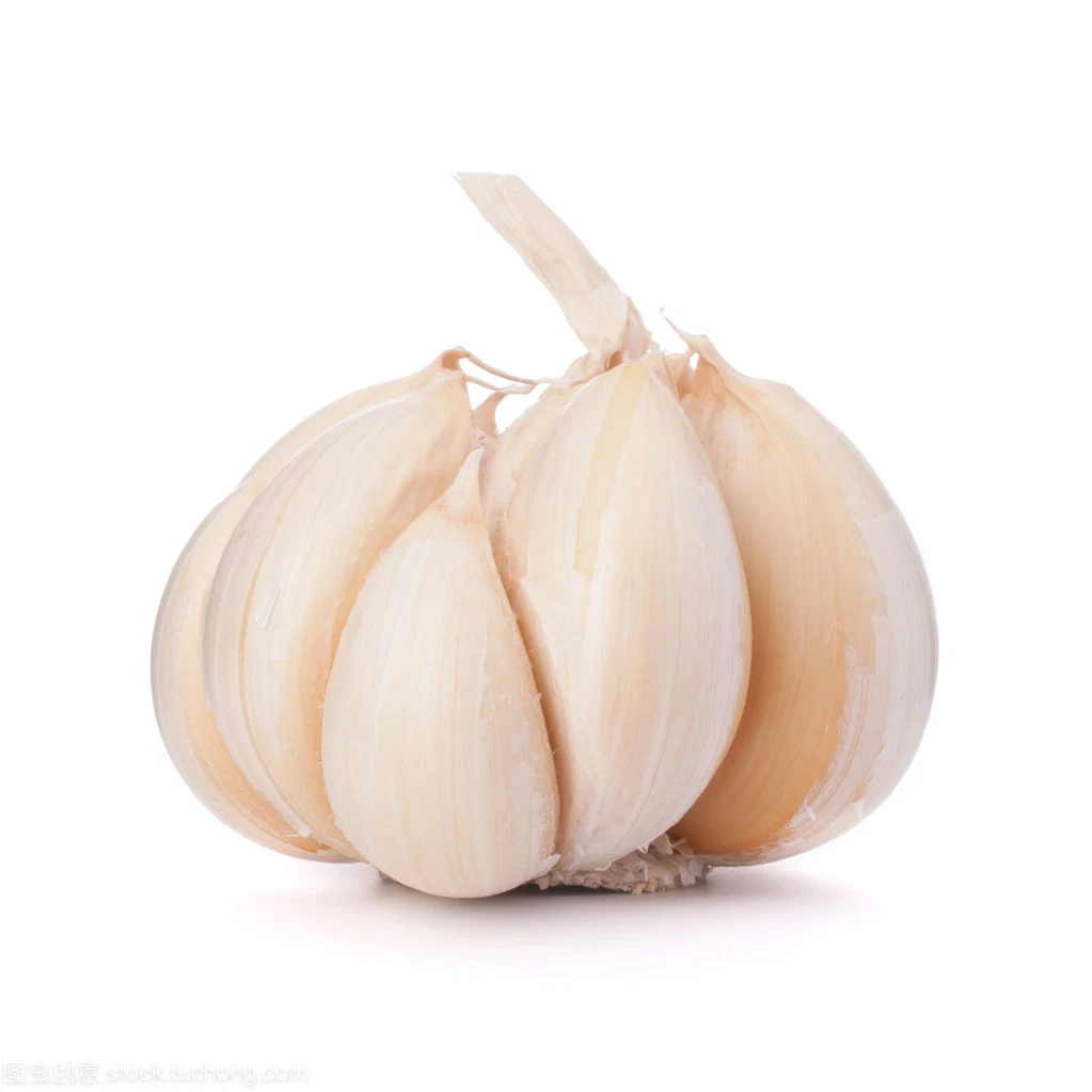 Fresh Pure White Garlic Red Garlic