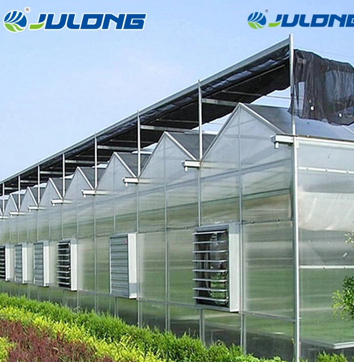 High quality/High cost performance  Agricultural Commercial Multi Span Polycarbonate Greenhouse with Nice Price