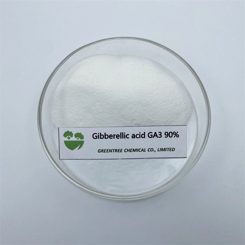 CAS no 77-06-5 Regulador de crecimiento de plantas Gibberellin giberelic GA3 90% TC