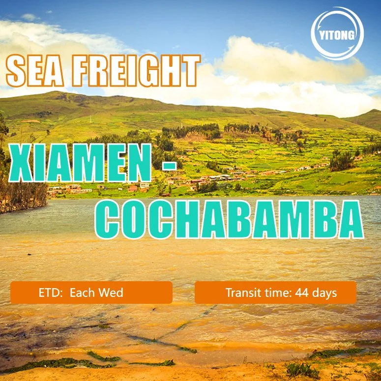 Seefracht von Qingdao nach Cochabamba