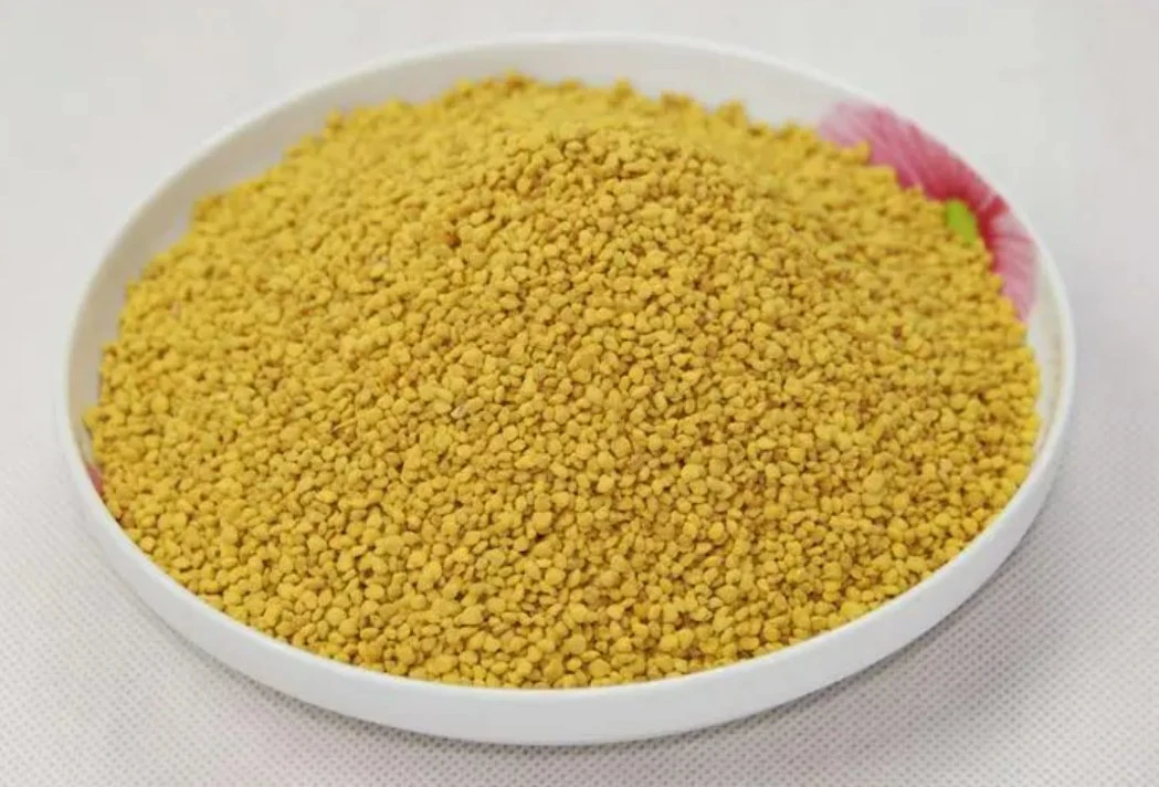 Prévenir l'ostéoporose Bee pollen Bee pollen granulaire de poudre