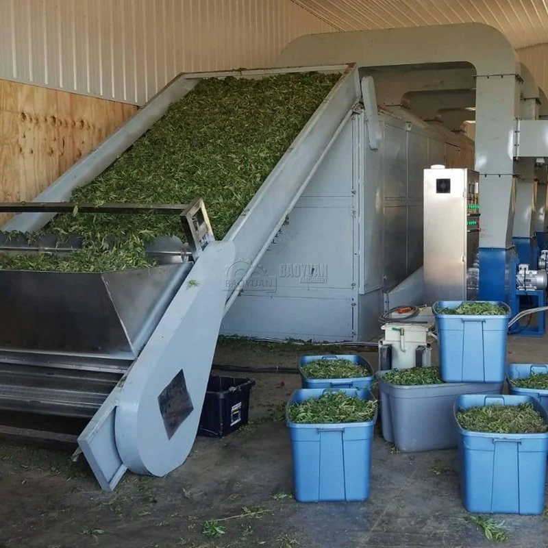 Viento caliente la circulación de la máquina de secado de los chips de yuca