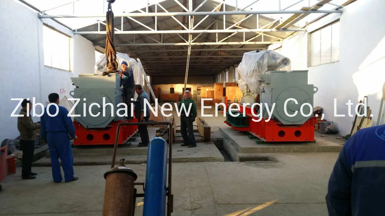 Syngas Turbine Generator 100-1000kw Gas Generator Set Syngas Equipment