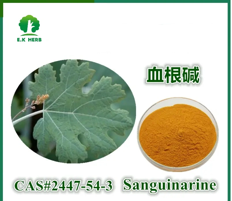 E. K Herb Factory 60% Sanguinarine Powder Macleaya Cordata Extract CAS No. 2447-54-3