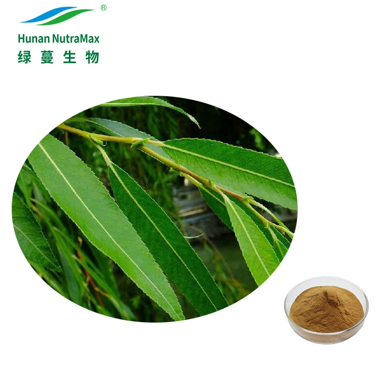 Natural White Willow Bark Extract with Salicin 60%