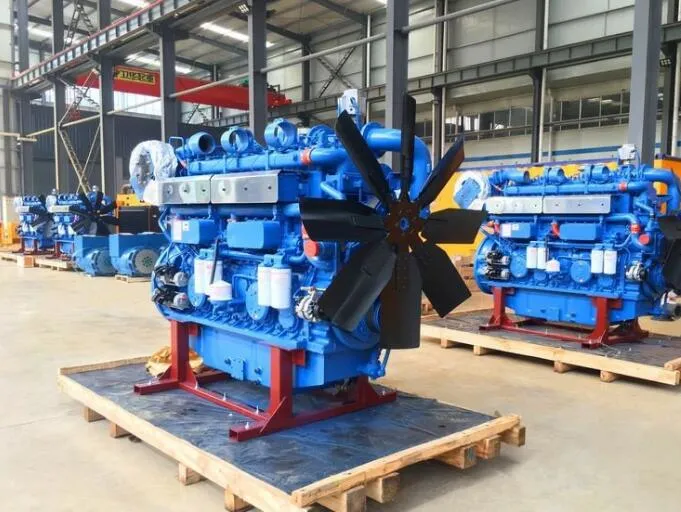 300kw Gas Generator Natural Gas/Biogas/Liquefied Petroleum Gas All Copper Brushless