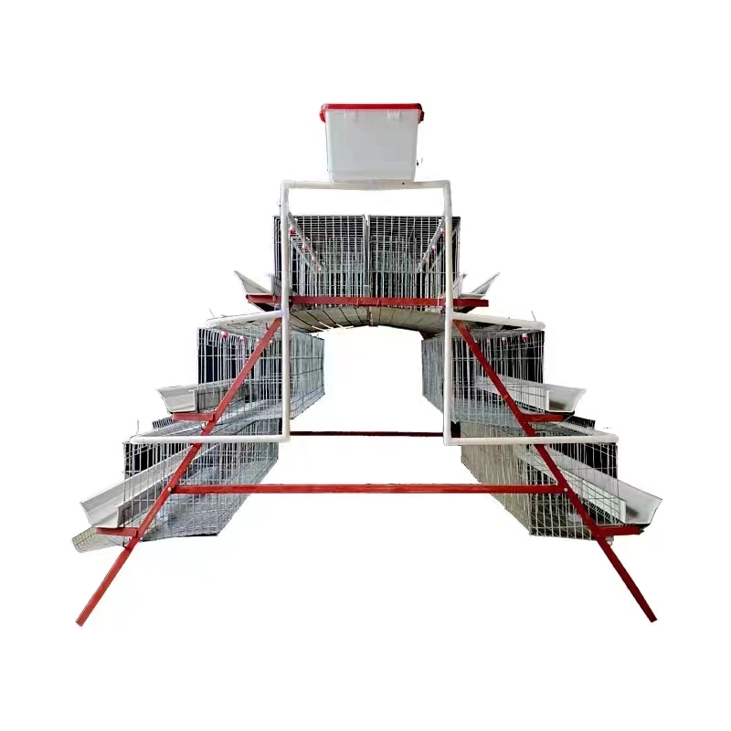 Efficient Poultry Farming Feeding Equipment Battery Cage System for Layer Chicken