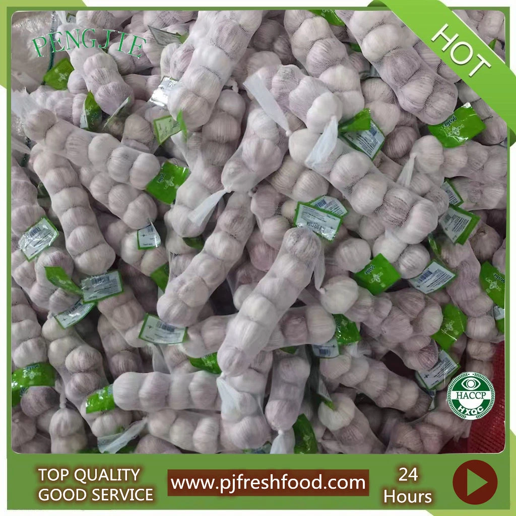 New Crop Fresh Chinese Normal White Garlic Supplier