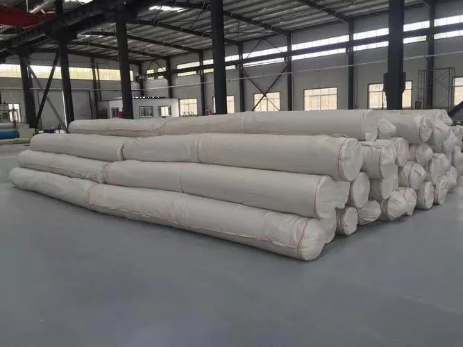 China Professional Manufacturer High quality/High cost performance Geogrid Composite with Geotextile