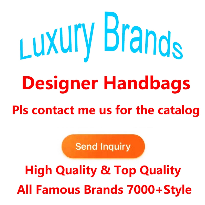 Luxury Lady Designer Handbag Shoulder Bag Purse Leather Bag Messenger Bag