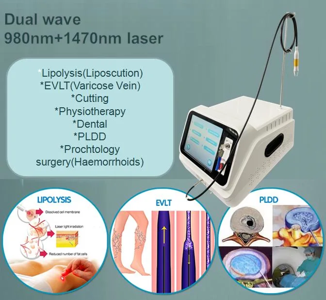 Hemorrhoids Piles Laser Cutting Diode Laser 980 1470 Nm Laser Lipolysis Cellulite Reduction Weight Loss Physiotherapy Equipment Vaser Liposuction Machine