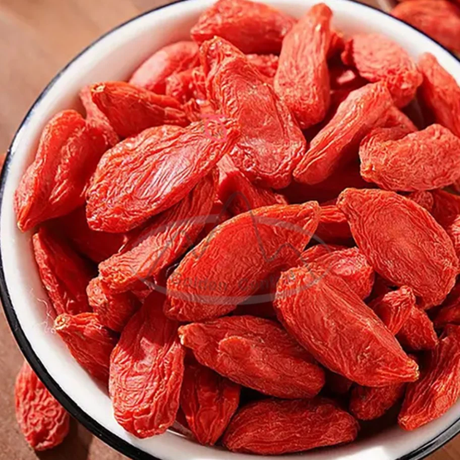 Goji pour la santé de haute qualité des fruits de thé avec des prix concurrentiels