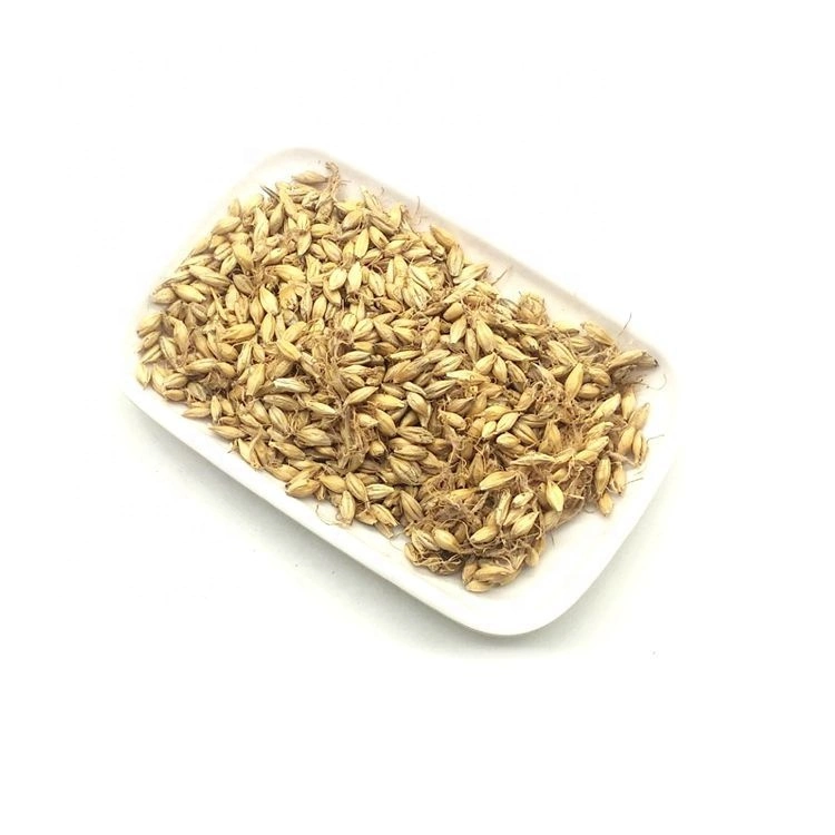 Bulk Supply Malt Mai Ya Lose Weight Tea Fructus Hordei Germinatus