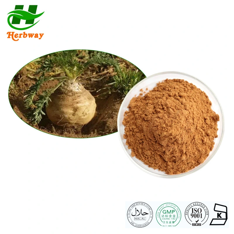 Herbway Herbal Extract Improve Sexual Capacity Maca Root Extract Lepidium Meyenii Maca Extract