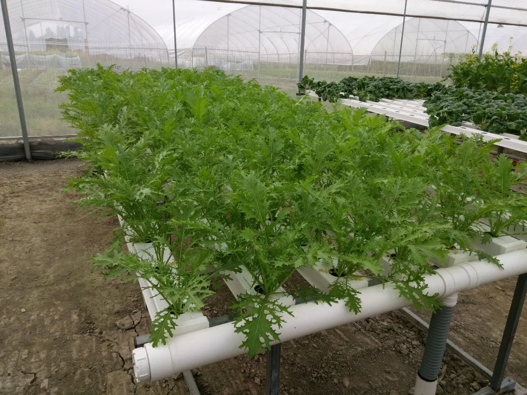 Гидропонные ПВХ 100x50 мм NFT Hydroponic квадратный НФТ желоб