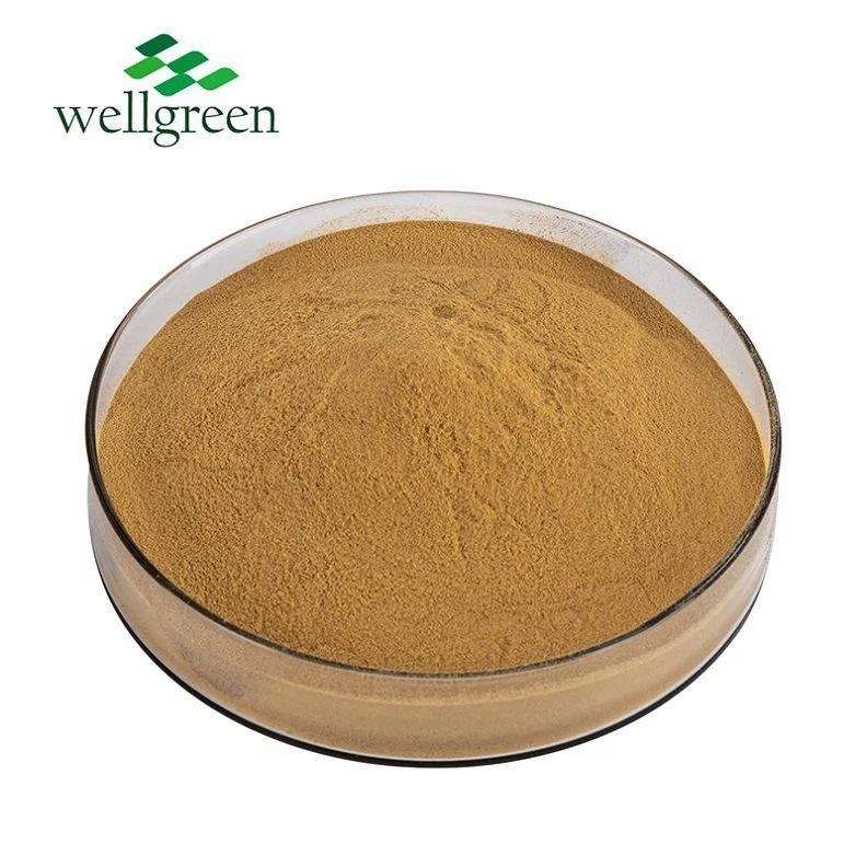 Professional Factory Direct Export Hederacosides Saponin IVY Leaf Extract Powder for Supplement