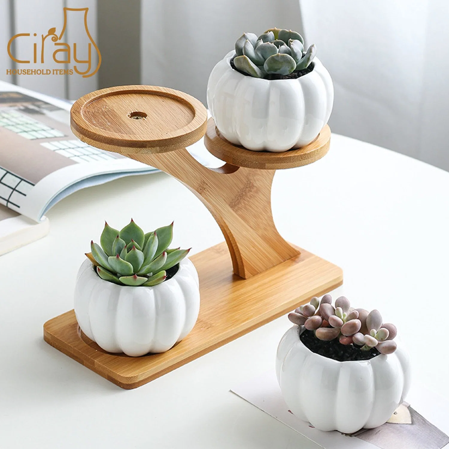 Small Pumpkin Shape Ceramic Flower Pot with Bamboo Stand