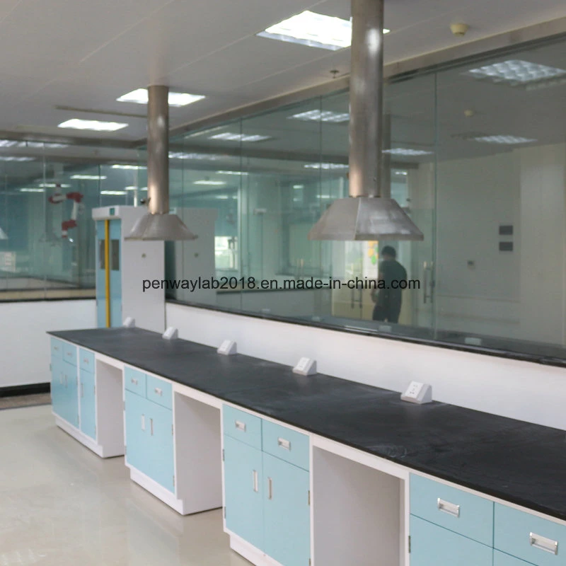 Stainless Steel Painted Steel MDF Material Laboratory Furniture