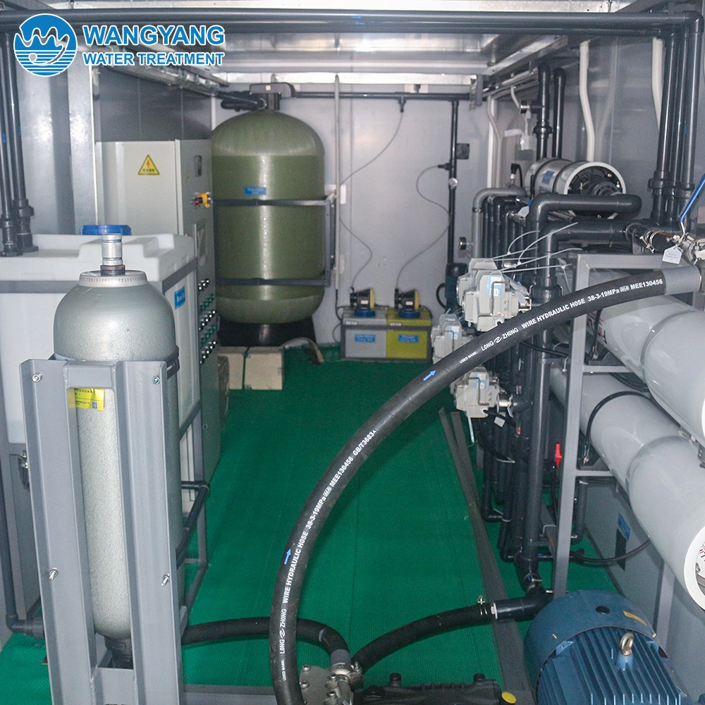 3000L / H Solar Energy Reverse Osmosis Seawater Desalination Equipment in Mozambique