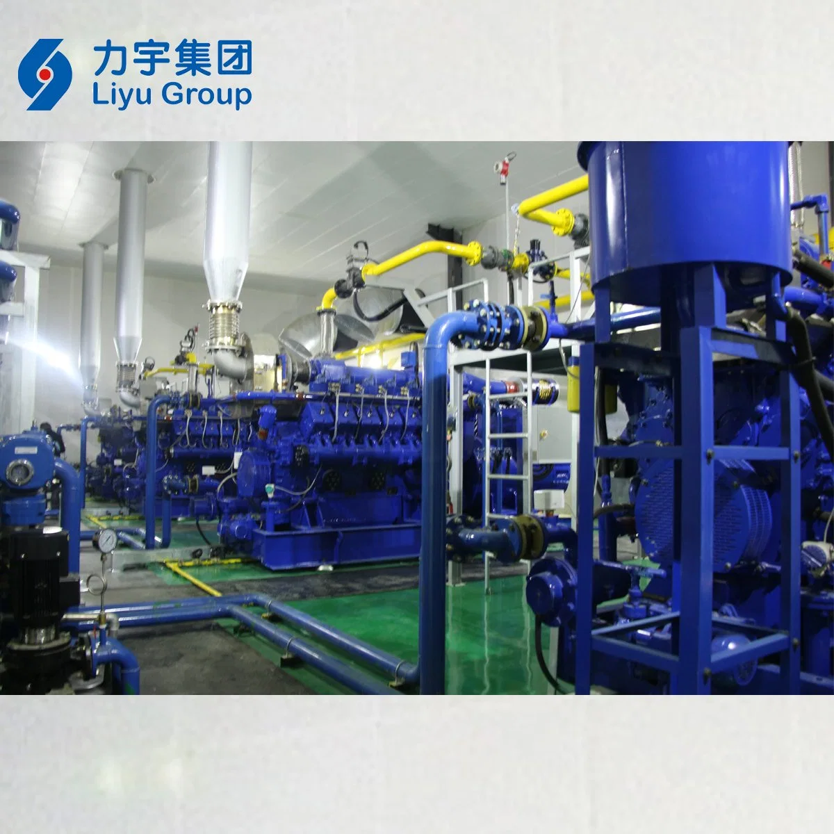 Liyu Gas Power 800kw Low Emission Hv 10.5kv Biomass Gas Engine Generator Set