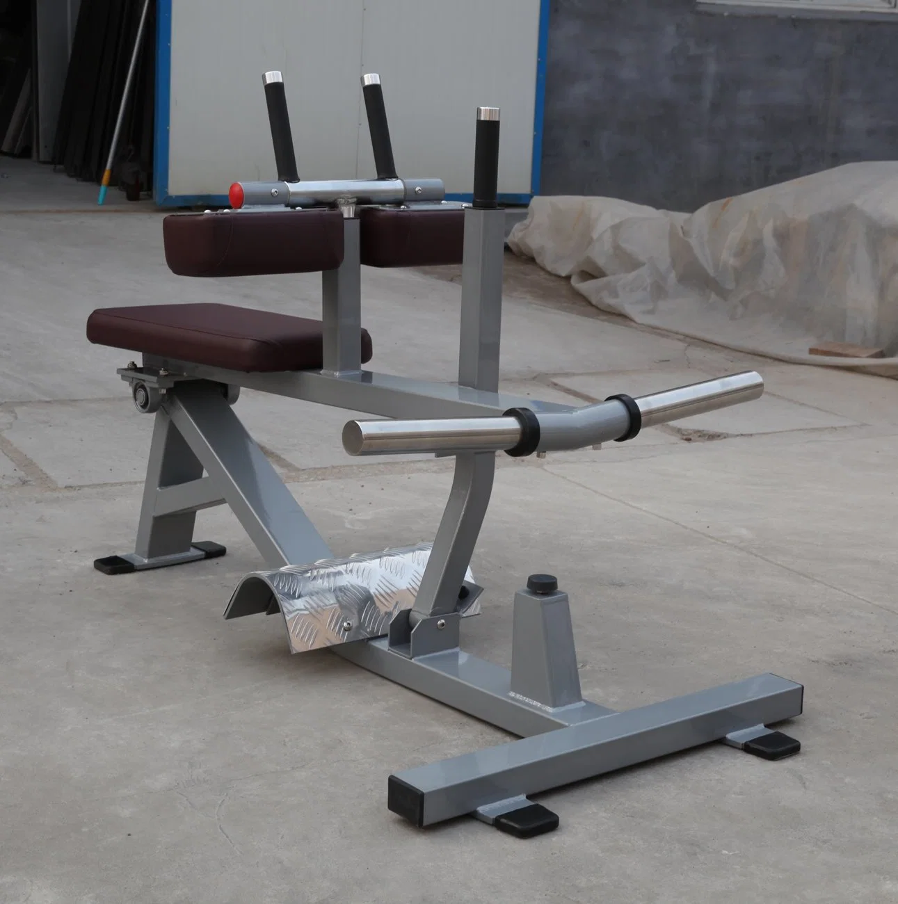 Ce Certificated Nautilus Fitness Equipment / Incline Press (SW-2001)