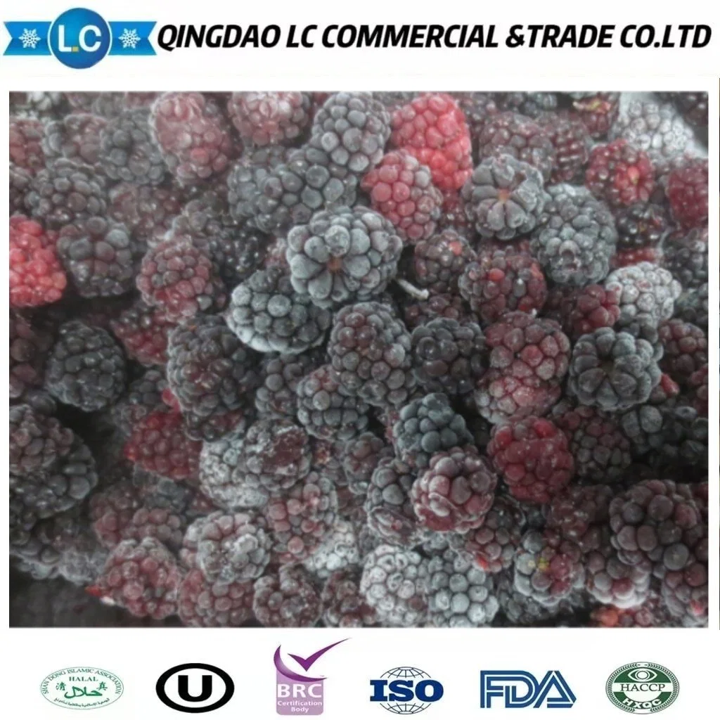 High quality/High cost performance  Bulk Frozen Fruit Blackberry Price Per Ton