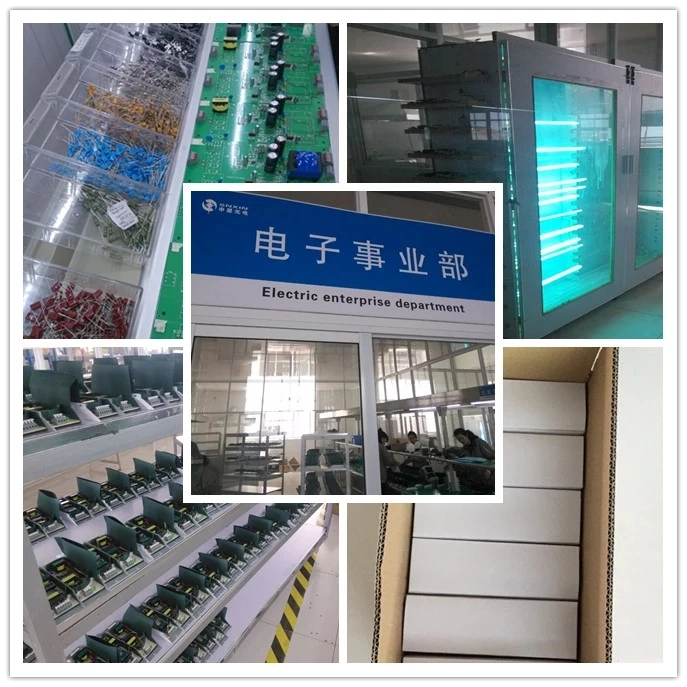 Nice Selling UV Lamp Electronic Ballast 0.7-0.8A CE IP64 55-95W Preheat Start UVC Ballast