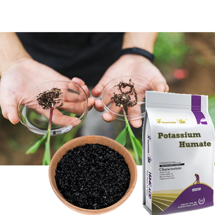 Engrais riche en potassium Humate soluble dans l'eau poudre/Flake/Crystal de potassium