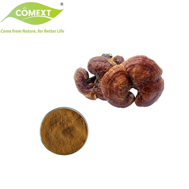 Comext Free Smple Factory Direct Organic Reishi Mushroom Extract Deep Brown Powder for Healthcare Supplment