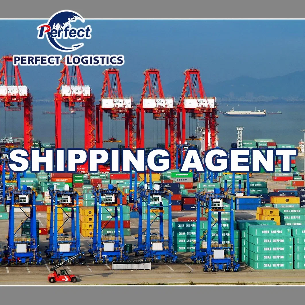 Air Freight From China to Costa Rica, 1688, Logistics