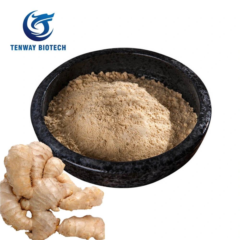 High Quality Food Ingredient Herbal Extract Food Ingredient Raw Ginger Powder