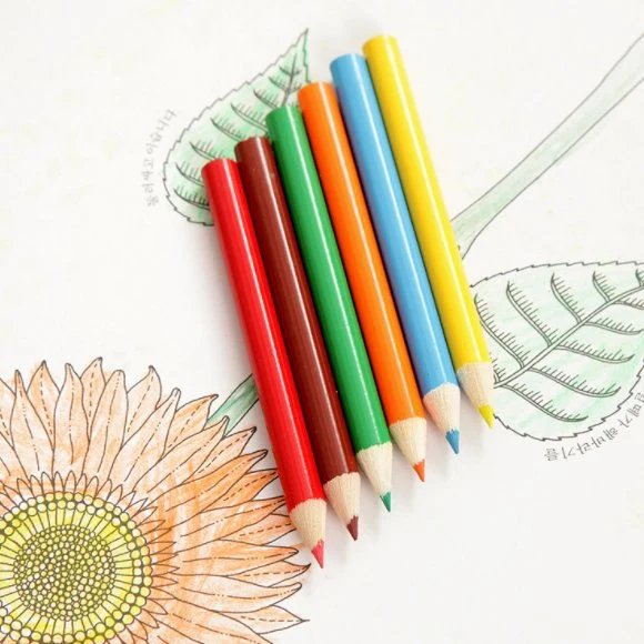 Promotional 3.5 Inch Color Pencil Set, 6 PCS Paint Colour Pencil Set