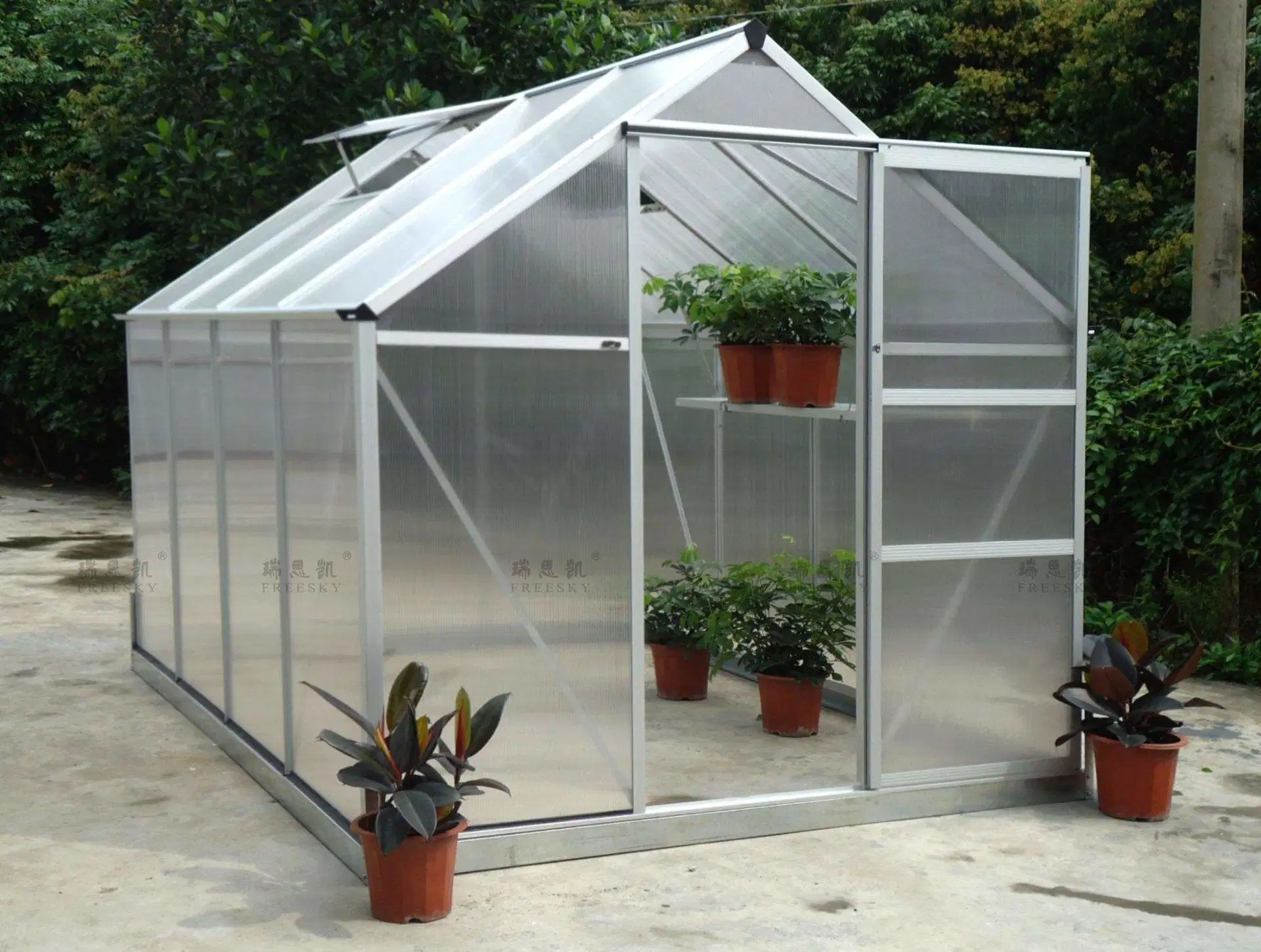 Low Cost Agricultural Home Mini Garden Greenhouse Grow Tent Invernadero for Sale