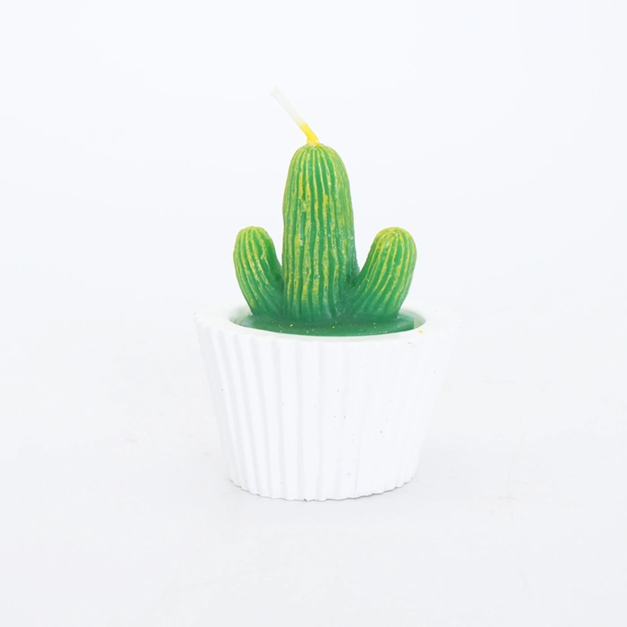 Custom Creative Paraffin Succulent Plant Cactus Candle