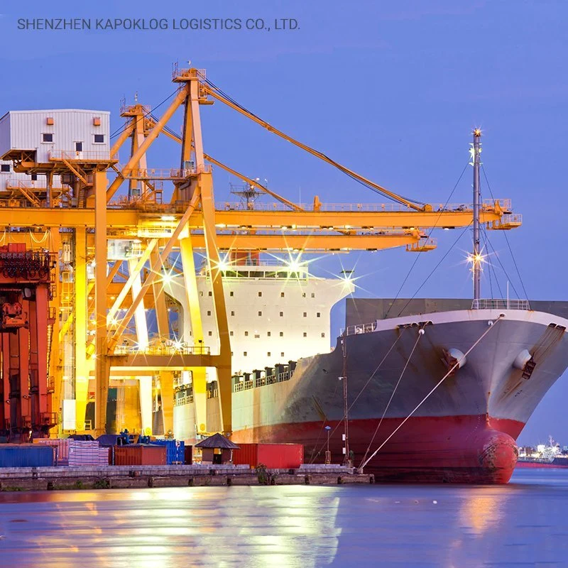 China Top 10 Sea Freight Forwarders to Kuwait