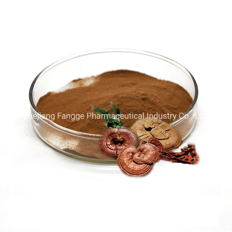 Organic Reishi Extract Powder, Polysaccharide &ge; 2%